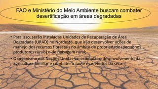 FAO e Ministério do Meio Ambiente buscam combater
desertificação em áreas degradadas
• Para isso, serão instaladas Unidades de Recuperação de Área
Degradada (URAD) no Nordeste, que irão desenvolver ações de
manejo dos recursos florestais no âmbito de propriedade (pequenos
produtores rurais) e de paisagem rural;
• O organismo das Nações Unidas vai estimular o desenvolvimento da
agricultura familiar e combater a fome e os efeitos da seca.
 