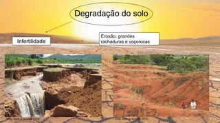 Degradação do solo
Infertilidade
Erosão, grandes
rachaduras e voçorocas
Fonte: Diário do Nordeste (2018) Fonte: Diário do Nordeste (2018)
 