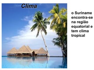 o Suriname encontra-se na região equatorial e tem clima tropical Clima 