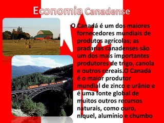 O Canadá é um dos maiores fornecedores mundiais de produtos agrícolas; as pradarias canadenses são um dos mais importantes produtores de trigo, canola e outros cereais.O Canadá é o maior produtor mundial de zinco e urânio e é uma fonte global de muitos outros recursos naturais, como ouro, níquel, alumínio e chumbo 