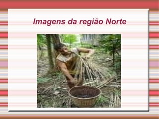 Imagens da região Norte 