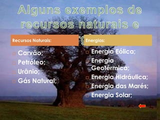 Recursos Naturais:   Energias:

   Carvão;             Energia Eólica;
   Petróleo;           Energia
                         Geotérmica;
   Urânio;
                        Energia Hidráulica;
   Gás Natural;
                        Energia das Marés;
                        Energia Solar;
 