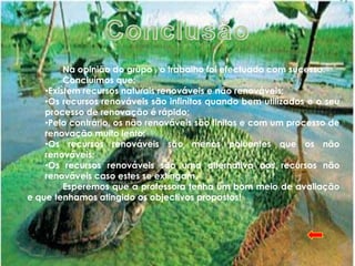 Na opinião do grupo , o trabalho foi efectuado com sucesso.
         Concluímos que:
    •Existem recursos naturais renováveis e não renováveis;
    •Os recursos renováveis são infinitos quando bem utilizados e o seu
    processo de renovação é rápido;
    •Pelo contrário, os não renováveis são finitos e com um processo de
    renovação muito lento;
    •Os recursos renováveis são menos poluentes que os não
    renováveis;
    •Os recursos renováveis são uma alternativa aos recursos não
    renováveis caso estes se extingam.
         Esperemos que a professora tenha um bom meio de avaliação
e que tenhamos atingido os objectivos propostos!
 