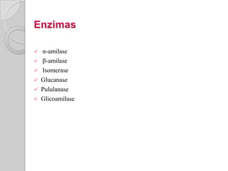    α-amilase
   β-amilase
   Isomerase
   Glucanase
   Pululanase
   Glicoamilase
 