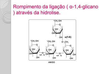 Rompimento da ligação ( α-1,4-glicano
) através da hidrolise.
 