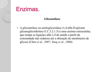 Enzimas.
                        Glicoamilase


   A glicoamilase ou amiloglicosidase (1,4-alfa-D-glicano
    glicanoglicoidrolase E.C.3.2.1.3) é uma enzima extracelular,
    que rompe as ligações alfa-1,4 do amido a partir da
    extremidade não redutora até a obtenção de monômeros de
    glicose (Chen et al., 2007; Yang et al., 2008).
 