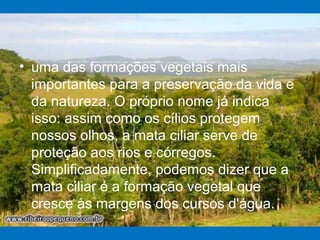 • uma das formações vegetais mais
importantes para a preservação da vida e
da natureza. O próprio nome já indica
isso: assim como os cílios protegem
nossos olhos, a mata ciliar serve de
proteção aos rios e córregos.
Simplificadamente, podemos dizer que a
mata ciliar é a formação vegetal que
cresce às margens dos cursos d'água.
 