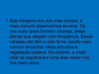 • Nas margens dos rios mais fundos, é
mais comum observarmos árvores. Os
rios mais rasos formam várzeas, áreas
planas que alagam com freqüência. Essas
várzeas não têm o solo firme, sendo mais
comum encontrar nelas arbustos e
vegetação rasteira. No entanto, a mata
ciliar se espalha por uma área maior nos
rios mais rasos.
 