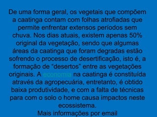 De uma forma geral, os vegetais que compõem
a caatinga contam com folhas atrofiadas que
permite enfrentar extensos períodos sem
chuva. Nos dias atuais, existem apenas 50%
original da vegetação, sendo que algumas
áreas da caatinga que foram degradas estão
sofrendo o processo de desertificação, isto é, a
formação de “desertos” entre as vegetações
originais. A economia na caatinga é constituída
através da agropecuária, entretanto, é obtido
baixa produtividade, e com a falta de técnicas
para com o solo o home causa impactos neste
ecossistema.
Mais informações por email
 