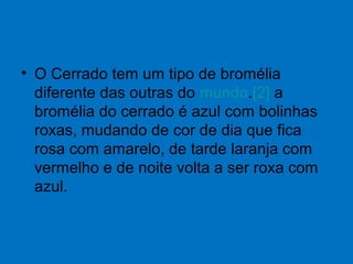 • O Cerrado tem um tipo de bromélia
diferente das outras do mundo.[2] a
bromélia do cerrado é azul com bolinhas
roxas, mudando de cor de dia que fica
rosa com amarelo, de tarde laranja com
vermelho e de noite volta a ser roxa com
azul.
 
