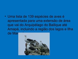• Uma lista de 139 espécies de aves é
apresentada para uma extensão de área
que vai do Arquipélago do Bailique até
Amapá, incluindo a região dos lagos e Ilha
de Maracá.
 