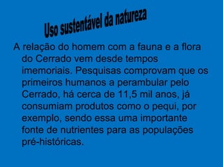 A relação do homem com a fauna e a flora
do Cerrado vem desde tempos
imemoriais. Pesquisas comprovam que os
primeiros humanos a perambular pelo
Cerrado, há cerca de 11,5 mil anos, já
consumiam produtos como o pequi, por
exemplo, sendo essa uma importante
fonte de nutrientes para as populações
pré-históricas.
 