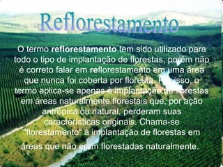 O termo reflorestamento tem sido utilizado para
todo o tipo de implantação de florestas, porém não
é correto falar em reflorestamento em uma área
que nunca foi coberta por floresta. Por isso, o
termo aplica-se apenas à implantação de florestas
em áreas naturalmente florestais que, por ação
antrópica ou natural, perderam suas
características originais. Chama-se
"florestamento" à implantação de florestas em
áreas que não eram florestadas naturalmente.
 