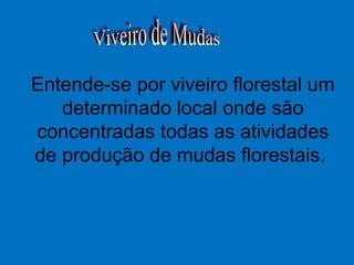 Entende-se por viveiro florestal um
determinado local onde são
concentradas todas as atividades
de produção de mudas florestais.
 