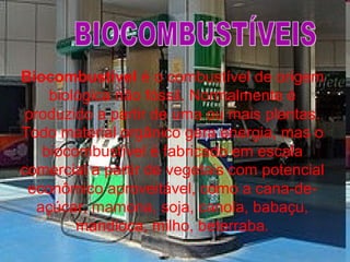 Biocombustível é o combustível de origem
biológica não fóssil. Normalmente é
produzido a partir de uma ou mais plantas.
Todo material orgânico gera energia, mas o
biocombustível é fabricado em escala
comercial a partir de vegetais com potencial
econômico aproveitável, como a cana-de-
açúcar, mamona, soja, canola, babaçu,
mandioca, milho, beterraba.
 