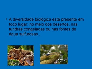 • A diversidade biológica está presente em
todo lugar: no meio dos desertos, nas
tundras congeladas ou nas fontes de
água sulfurosas .
 