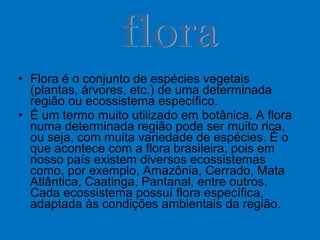 • Flora é o conjunto de espécies vegetais
(plantas, árvores, etc.) de uma determinada
região ou ecossistema específico.
• É um termo muito utilizado em botânica. A flora
numa determinada região pode ser muito rica,
ou seja, com muita variedade de espécies. É o
que acontece com a flora brasileira, pois em
nosso país existem diversos ecossistemas
como, por exemplo, Amazônia, Cerrado, Mata
Atlântica, Caatinga, Pantanal, entre outros.
Cada ecossistema possuí flora específica,
adaptada às condições ambientais da região.
 