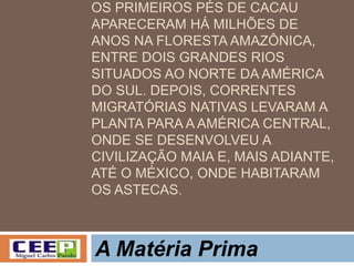 OS PRIMEIROS PÉS DE CACAU
APARECERAM HÁ MILHÕES DE
ANOS NA FLORESTA AMAZÔNICA,
ENTRE DOIS GRANDES RIOS
SITUADOS AO NORTE DA AMÉRICA
DO SUL. DEPOIS, CORRENTES
MIGRATÓRIAS NATIVAS LEVARAM A
PLANTA PARA A AMÉRICA CENTRAL,
ONDE SE DESENVOLVEU A
CIVILIZAÇÃO MAIA E, MAIS ADIANTE,
ATÉ O MÉXICO, ONDE HABITARAM
OS ASTECAS.
A Matéria Prima
 