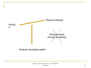Higiene e Sanidade Animal 1 - Enfermagem Veterinária Vacinas Prevenir infecção Prevenir sinais clínicos da doença Produzir imunidade estéril 