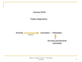 Higiene e Sanidade Animal 1 - Enfermagem Veterinária Animais  vacinados  /  infectados Animais previamente vacinados (distinção) Vacinas DIVA + Testes diagnostico 