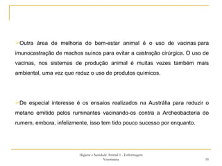 Higiene e Sanidade Animal 1 - Enfermagem Veterinária Outra área de melhoria do bem-estar animal é o uso de vacinas para imunocastração de machos suínos para evitar a castração cirúrgica. O uso de vacinas, nos sistemas de produção animal é muitas vezes também mais ambiental, uma vez que reduz o uso de produtos químicos. De especial interesse é os ensaios realizados na Austrália para reduzir o metano emitido pelos ruminantes vacinando-os contra a Archeobacteria do rumem, embora, infelizmente, isso tem tido pouco sucesso por enquanto. 