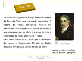 Higiene e Sanidade Animal 1 - Enfermagem Veterinária A varíola foi a primeira doença infecciosa extinta da face da Terra pela vacinação preventiva. A história da vacina anti-varíola merece ser relembrada pela magnitude da vitória alcançada e pela esperança que  o método nos trouxe de obter a erradicação de outras doenças infecciosas. Em 1980, menos de 200 anos após a descoberta da vacina, a Organização Mundial de Saúde declarava erradicada a varíola da face da Terra. Fig.1: Edward Jenner (1749-1823) varíola humana ( smallpox) varíola bovina  ( cowpox )  