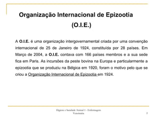 Organização Internacional de Epizootia  (O.I.E.) A  O.I.E.  é uma organização intergovernamental criada por uma convenção internacional de 25 de Janeiro de 1924, constituída por 28 países. Em Março de 2004, a  O.I.E.  contava com 166 países membros e a sua sede fica em Paris. As incursões da peste bovina na Europa e particularmente a epizootia que se produziu na Bélgica em 1920, foram o motivo pelo que se criou a  Organização Internacional de Epizootia  em 1924. Higiene e Sanidade Animal 1 - Enfermagem Veterinária 