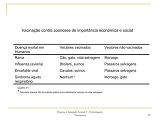 Higiene e Sanidade Animal 1 - Enfermagem Veterinária Quadro nº 1 *  Para esta doença não há método prático para administrar vacinas na vida selvagem Vacinação contra zoonoses de importância económica e social Doença mortal em Humanos Vectores vacinados Vectores não vacinados Raiva Cão, gato, vida selvagem Morcego Influenza (aviaria) Broilers, suínos Pássaros selvagens Encefalite viral Cavalos, suínos Pássaros selvagens Sindroma agudo respiratório Nenhum * Morcego, gato 