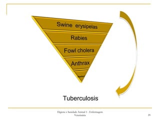 Higiene e Sanidade Animal 1 - Enfermagem Veterinária Tuberculosis 