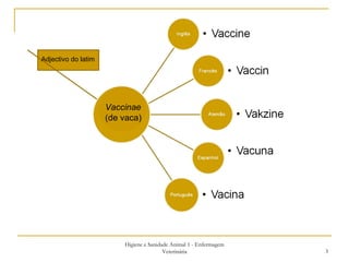 Higiene e Sanidade Animal 1 - Enfermagem Veterinária Vaccinae (de vaca) Adjectivo do latim 