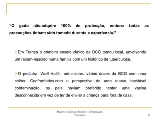 Higiene e Sanidade Animal 1 - Enfermagem Veterinária “ O gado não adquire 100% de protecção, embora todas as precauções tinham sido tomado durante a experiencia.”  Em França o primeiro ensaio clínico da BCG tomou local, envolvendo um recém-nascido numa família com um histórico de tuberculose. O pediatra, Weill-Hallé,  administrou várias doses da BCG com uma colher. Confrontados com a perspectiva de uma quase inevitável contaminação, os pais haviam preferido tentar uma vacina desconhecida em vez de ter de enviar a criança para fora de casa. 