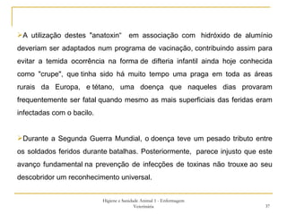 Higiene e Sanidade Animal 1 - Enfermagem Veterinária A utilização destes "anatoxin“  em associação com  hidróxido de alumínio deveriam ser adaptados num programa de vacinação, contribuindo assim para evitar a temida ocorrência na forma de difteria infantil ainda hoje conhecida como " crupe ", que tinha sido há muito tempo uma praga em toda as áreas rurais da Europa, e tétano, uma doença que naqueles dias provaram frequentemente ser fatal quando mesmo as mais superficiais das feridas eram infectadas com o bacilo. Durante a Segunda Guerra Mundial, o doença teve um pesado tributo entre os soldados feridos durante batalhas. Posteriormente,  parece injusto que este avanço fundamental na prevenção de infecções de toxinas não trouxe ao seu descobridor um reconhecimento universal. 
