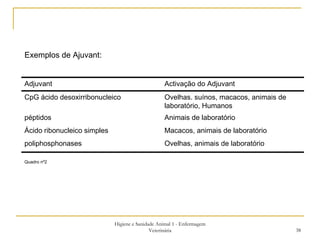 Higiene e Sanidade Animal 1 - Enfermagem Veterinária Exemplos de Ajuvant: Quadro nº2 Adjuvant Activação do Adjuvant CpG ácido desoxirribonucleico Ovelhas. suínos, macacos, animais de laboratório, Humanos péptidos Animais de laboratório Ácido ribonucleico simples Macacos, animais de laboratório poliphosphonases Ovelhas, animais de laboratório 