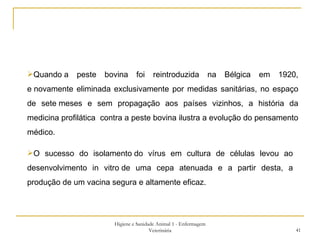 Higiene e Sanidade Animal 1 - Enfermagem Veterinária Quando a peste bovina foi reintroduzida na Bélgica em 1920, e novamente eliminada exclusivamente por medidas sanitárias, no espaço de sete meses e sem propagação aos países vizinhos, a história da medicina profilática  contra a peste bovina ilustra a evolução do pensamento médico.  O sucesso do isolamento do vírus em cultura de células levou ao desenvolvimento in vitro de uma cepa atenuada e a partir desta, a produção de um vacina segura e altamente eficaz.  