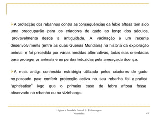 Higiene e Sanidade Animal 1 - Enfermagem Veterinária A protecção dos rebanhos contra as consequências da febre aftosa tem sido uma preocupação para os criadores de gado ao longo dos séculos,  provavelmente desde a antiguidade. A vacinação é um recente desenvolvimento (entre as duas Guerras Mundiais) na história da exploração animal, e foi precedida por várias medidas alternativas, todas elas orientadas para proteger os animais e as perdas induzidas pela ameaça da doença.  A mais antiga conhecida estratégia utilizada pelos criadores de gado no passado para conferir protecção activa no seu rebanho foi a pratica “aphtisation” logo que o primeiro caso de febre aftosa fosse  observado no rebanho ou na vizinhança.  