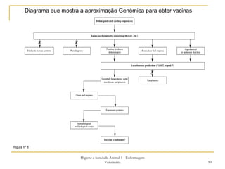 Higiene e Sanidade Animal 1 - Enfermagem Veterinária Diagrama que mostra a aproximação Genómica para obter vacinas Figura nº 8 