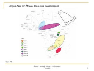 Higiene e Sanidade Animal 1 - Enfermagem Veterinária Língua Azul em África / diferentes classificações  Figura nº 9 