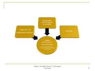 Higiene e Sanidade Animal 1 - Enfermagem Veterinária 