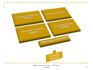 Higiene e Sanidade Animal 1 - Enfermagem Veterinária 