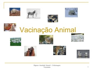 Higiene e Sanidade Animal 1 - Enfermagem Veterinária Vacinação Animal 