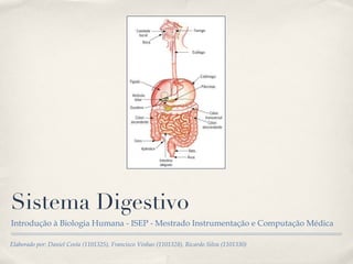 Sistema Digestivo ,[object Object],Elaborado por: Daniel Costa (1101325), Francisco Vinhas (1101328), Ricardo Silva (1101330) 