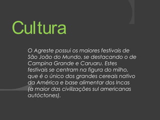 Cultura 
O Agreste possui os maiores festivais de 
São João do Mundo, se destacando o de 
Campina Grande e Caruaru. Estes 
festivais se centram na figura do milho, 
que é o único dos grandes cereais nativo 
da América e base alimentar dos Incas 
(a maior das civilizações sul americanas 
autóctones). 
 