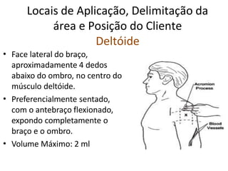 Locais de Aplicação, Delimitação da
área e Posição do Cliente
Deltóide
• Face lateral do braço,
aproximadamente 4 dedos
abaixo do ombro, no centro do
músculo deltóide.
Preferencialmente sentado,
com o antebraço flexionado,
expondo completamente o
braço e o ombro.
Volume Máximo: 2 ml
•
•
 