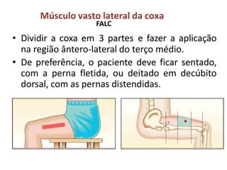 Músculo vasto lateral da coxa
FALC
• Dividir a coxa em 3 partes e fazer a aplicação
na região ântero-lateral do terço médio.
• De preferência, o paciente deve ficar sentado,
com a perna fletida, ou deitado em decúbito
dorsal, com as pernas distendidas.
 