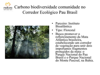Carbono biodiversidade comunidade no
Corredor Ecológico Pau Brasil
• Parceiro: Instituto
Bioatlântica
• Tipo: Florestal
• Busca promover o
reflorestamento da Mata
Atlântica brasileira,
estabelecendo um corredor
de vegetação para unir dois
importantes fragmentos
protegidos da mata: o
Parque Nacional do Pau
Brasil e o Parque Nacional
do Monte Pascoal, na Bahia.
 