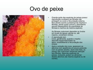 Ovo de peixe
      •   Grande parte das espécies de peixes possui
          reprodução ovulípara (as fêmeas não
          protegem os ovos) e fecundação externa.
          Nos peixes ocorre a presença de machos e
          fêmeas, sendo muito comum o dimorfismo
          sexual (desequilíbrio da quantidade de
          fêmeas e machos da mesma espécie).
          As fêmeas costumam depositar os óvulos
          em locais de águas calmas ou, até
          mesmo, constroem ninhos.
      •   A reprodução tem
          início, geralmente, quando o macho
          deposita espermatozóides na
          água, possibilitando a fecundação dos
          óvulos.
      •   Após a eclosão dos ovos, aparecem os
          alevinos com aparência um pouco parecida
          com os peixes adultos. Após esta fase, os
          peixes não costumam dispensar atenção
          aos filhotes. Algumas espécies de
          peixes, inclusive, podem se alimentar
          destes alevinos (da mesma espécie ou de
          outras).
 