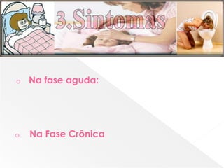 o Na fase aguda:
o Na Fase Crônica
 