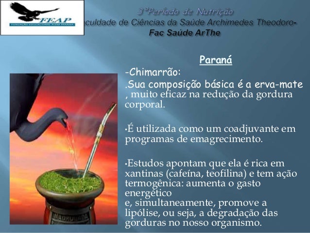 Comidas Típicas da Região Sul Comidas Típicas da Região Sul
