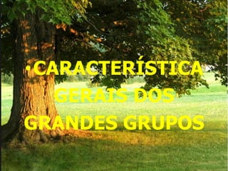 •CARACTERÍSTICA
GERAIS DOS
GRANDES GRUPOS
 