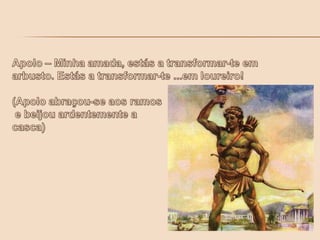 Apolo – Minha amada, estás a transformar-te em arbusto. Estás a transformar-te ...em loureiro!(Apolo abraçou-se aos ramos e beijou ardentemente a casca)